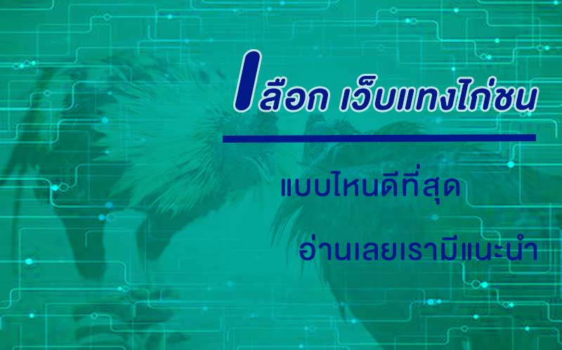 วิธีเลือก เว็บแทงไก่ชน ที่ดีที่สุด